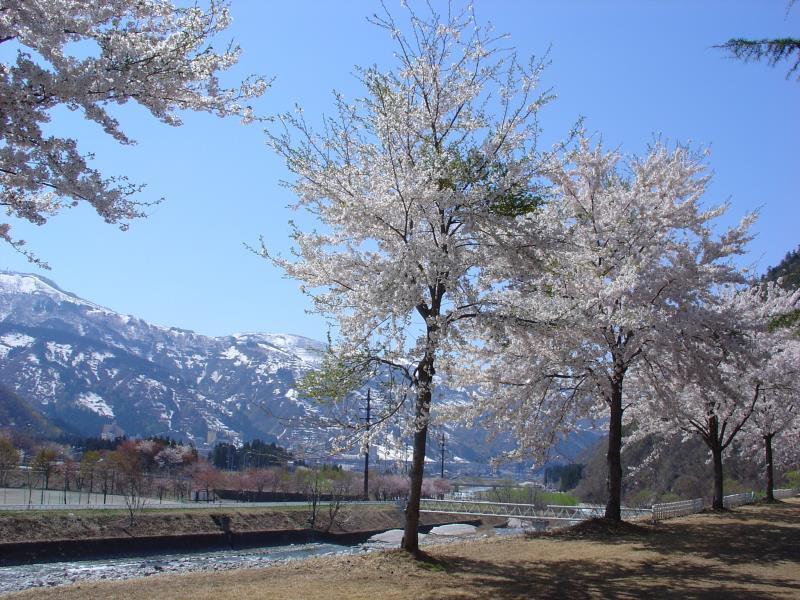 Pension Noah Yuzawa (Niigata) Exterior foto